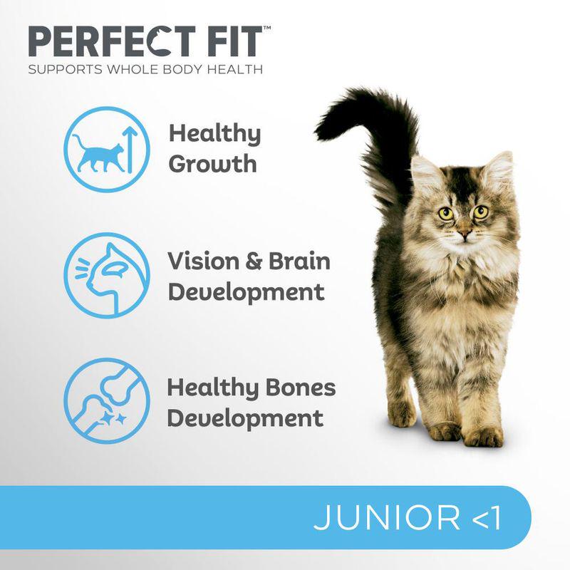 Perfect Fit Junior <1 Rich in Chicken