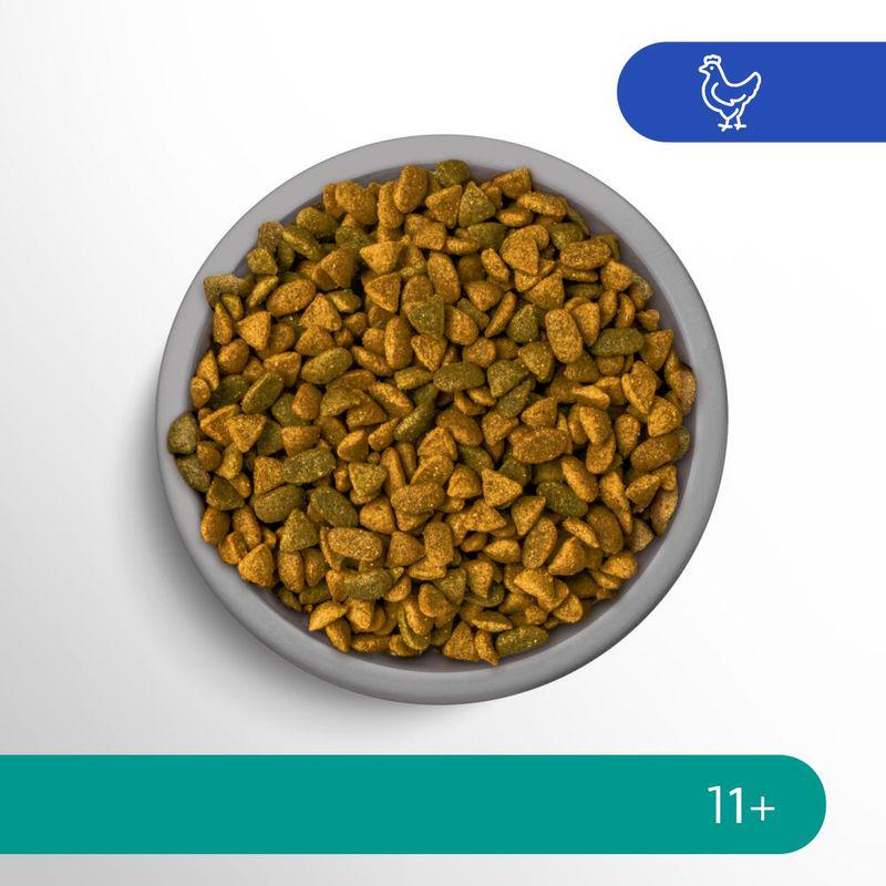 Senior 11+ cat formula