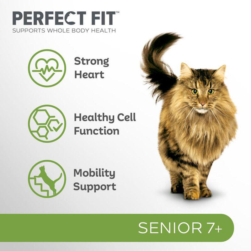 Chicken formula for senior cats