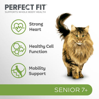 Chicken formula for senior cats