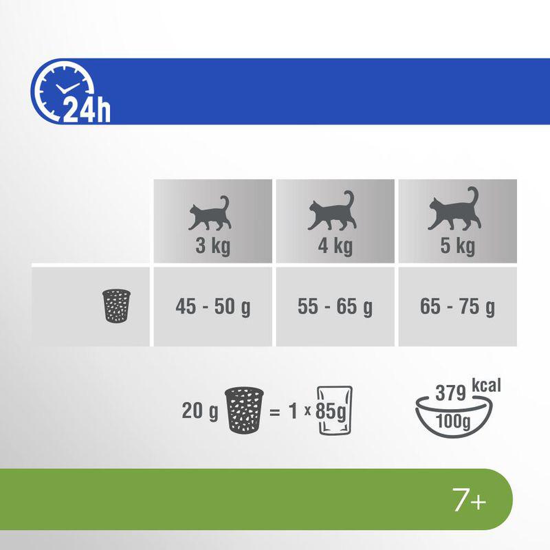 Healthy aging cat food