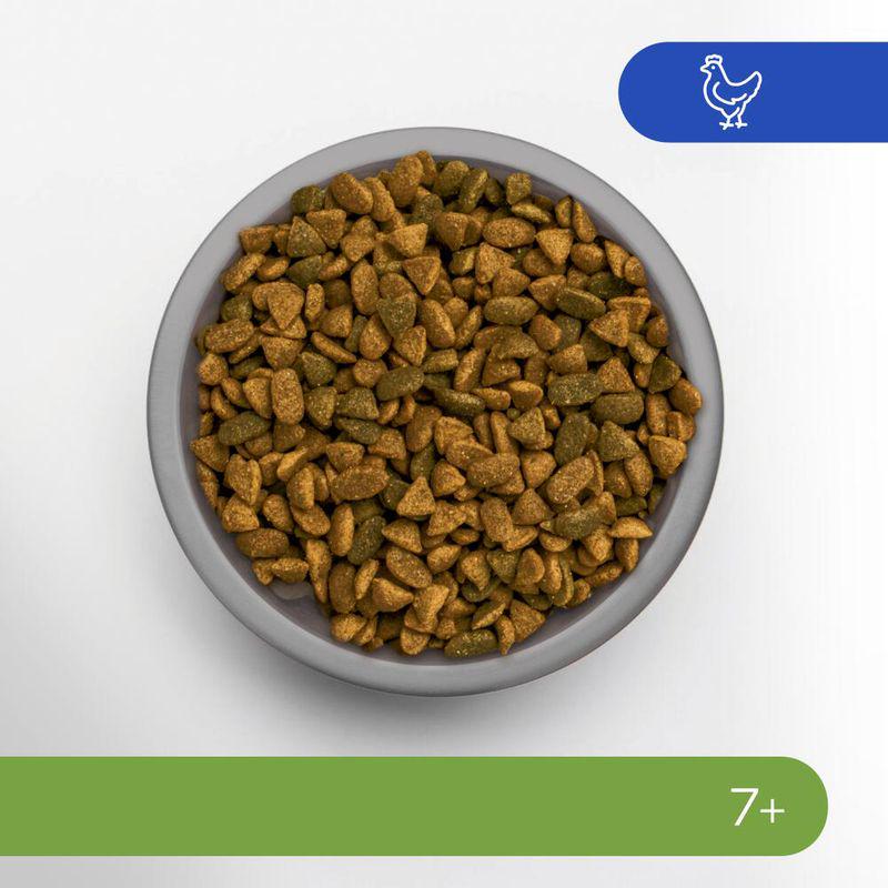 Dry food for senior felines