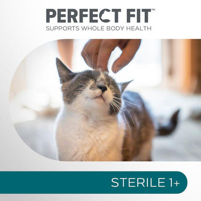 Adult sterile cat nutrition