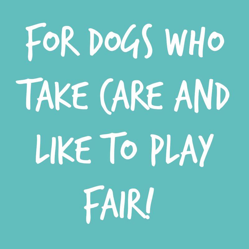 Penguin stuffed animal