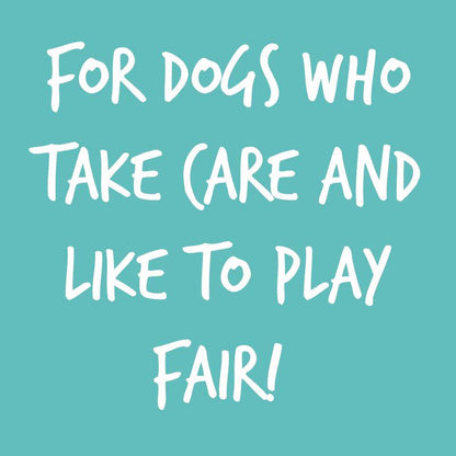 Penguin stuffed animal