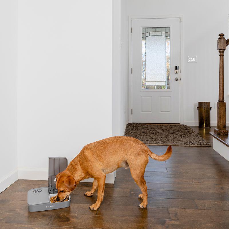 Two-meal pet food station