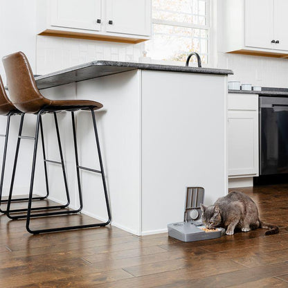 Easy-set pet food dispenser