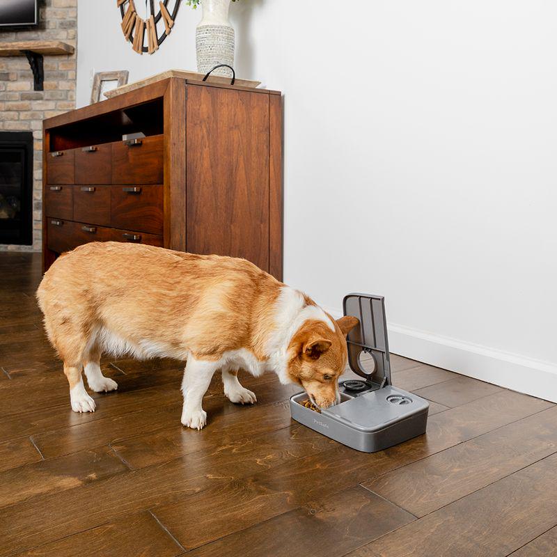 Portion control pet feeder