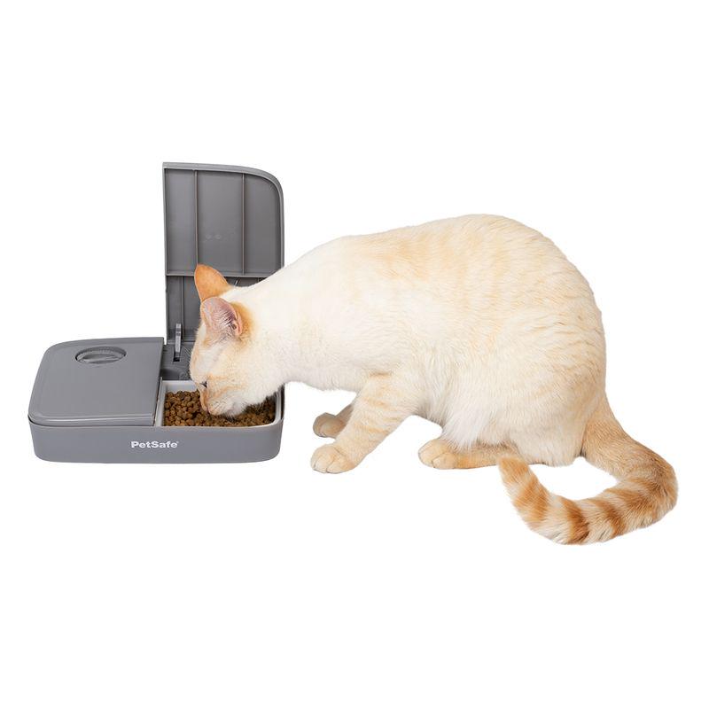 Timed meal pet feeder