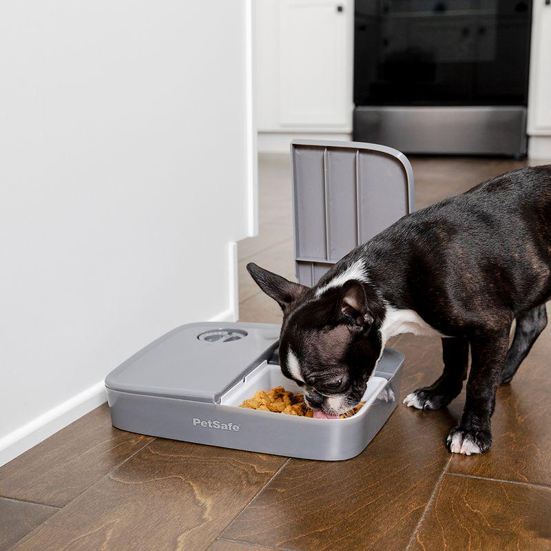 PetSafe food timer bowl