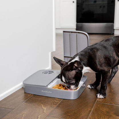 PetSafe food timer bowl
