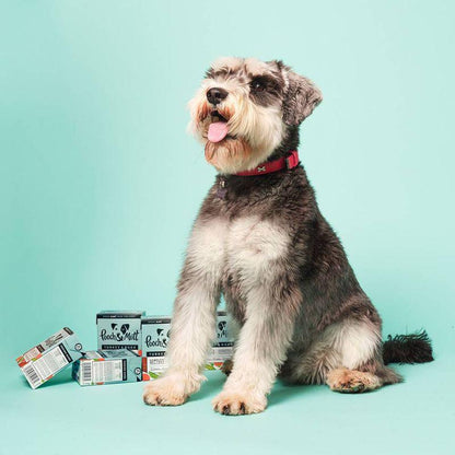 natural dog food pooch mutt