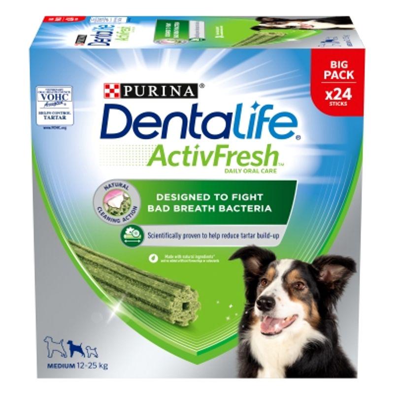 Purina dental care routine