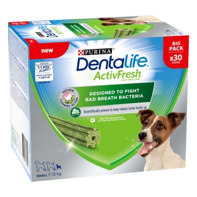 Healthy teeth for little dogs