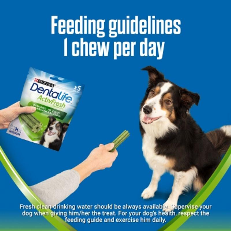 Dog chews for oral health
