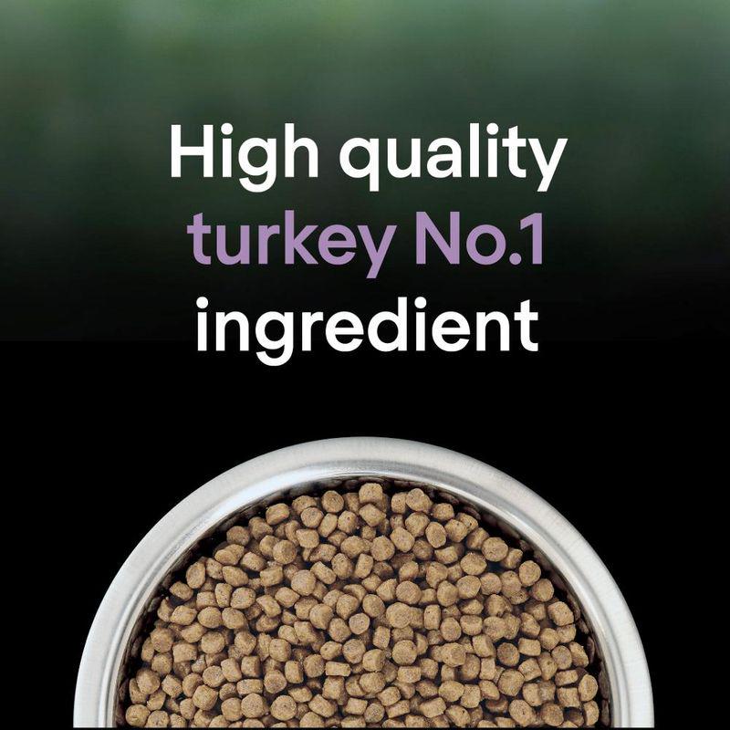 Reduced allergen turkey recipe
