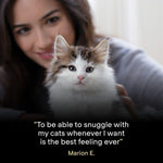Load image into Gallery viewer, Purina Pro Plan LiveClear Kitten - Turkey
