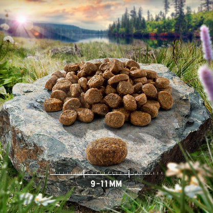 Natural fish cat food