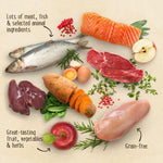Load image into Gallery viewer, Purizon Adult Grain-Free Dry Cat Food Mixed Pack
