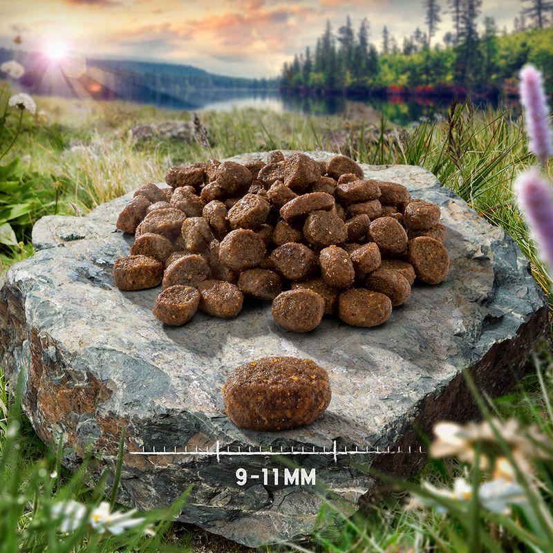 Purizon adult dry food