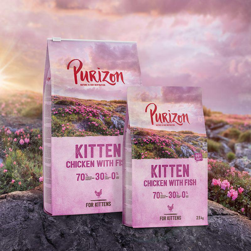 High-protein kitten formula