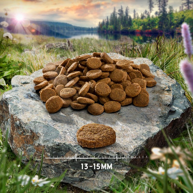 Single meat dry dog food