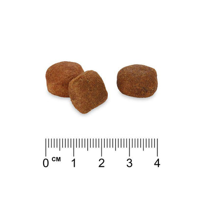 Hypoallergenic lamb recipe Rocco