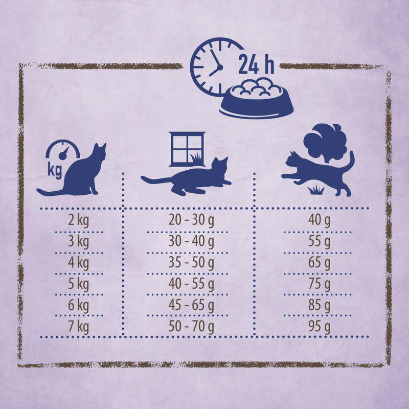 Natural adult dog food