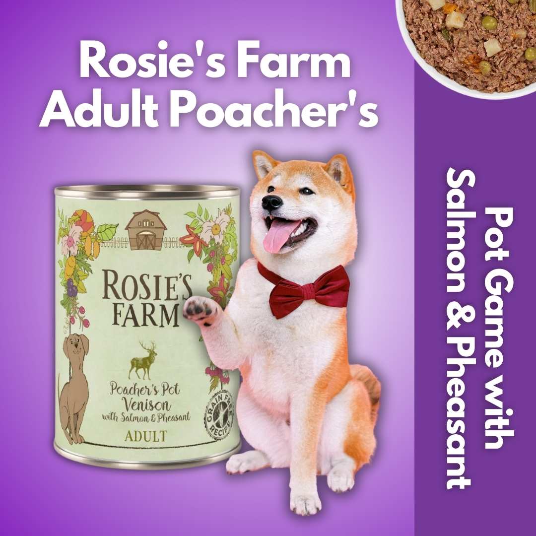 Poacher's Pot dog meal