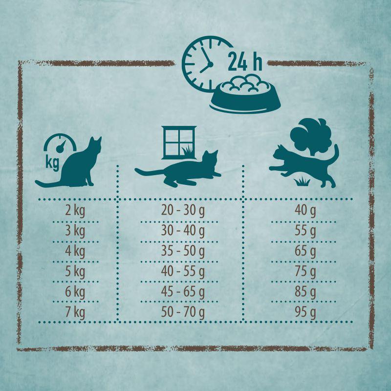 Grain-free kitten cat food