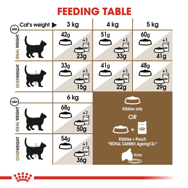 Royal Canin Ageing 12+