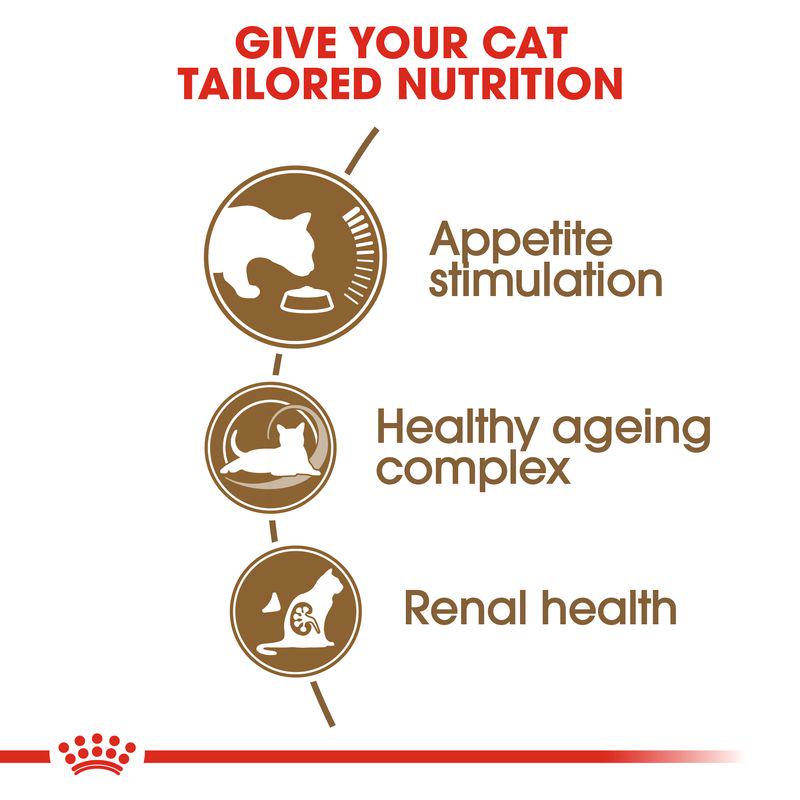 Royal Canin Ageing 12+