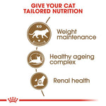 Load image into Gallery viewer, Royal Canin Ageing Sterilised 12+
