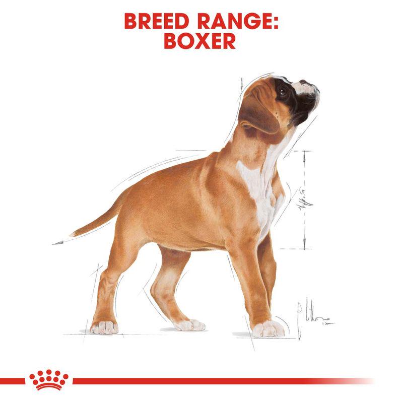 Royal Canin Boxer junior diet"