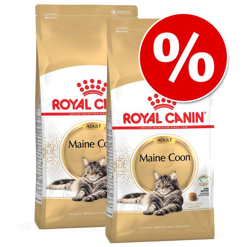 Specialized dry food for cats