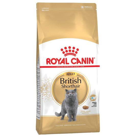 Royal Canin British Shorthair