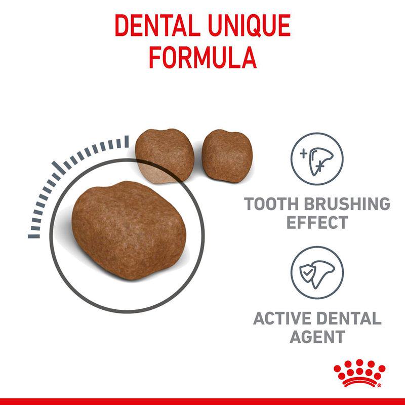 Royal Canin Dental Care