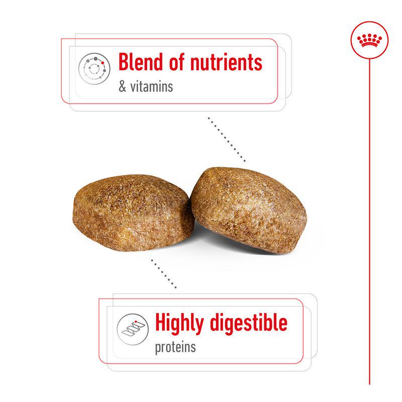 Royal Canin adult formula