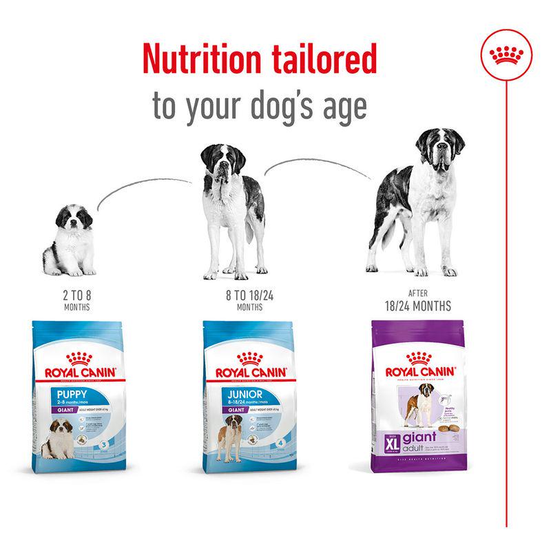 Royal Canin extra-large dog