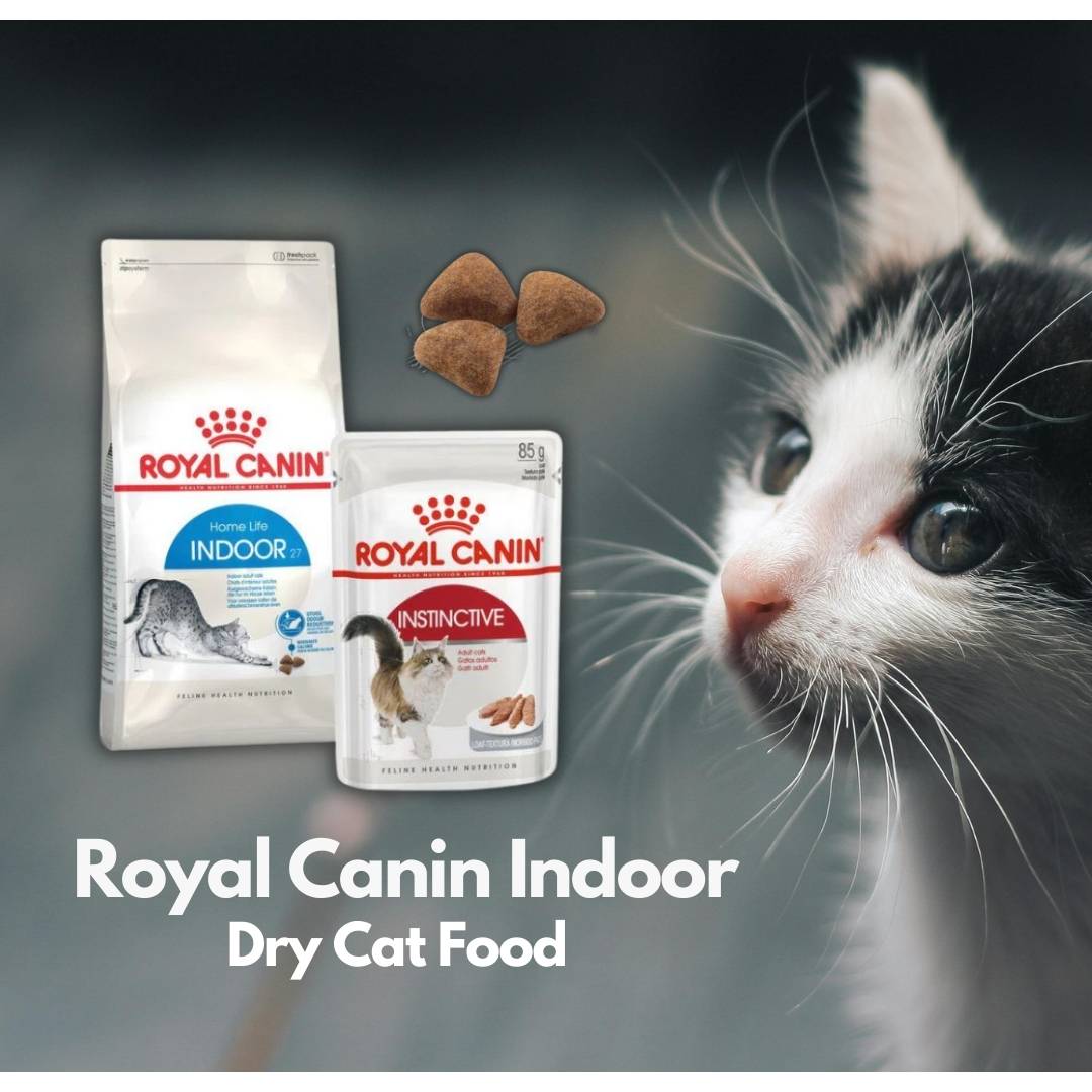 Royal Canin Indoor Dry Cat Food