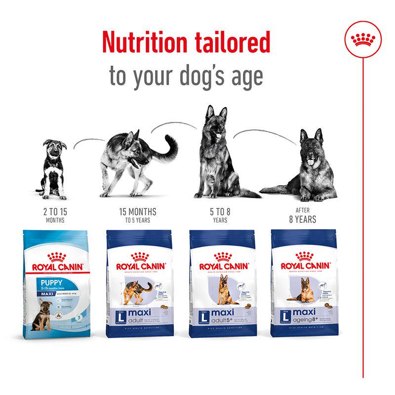Maxi adult dog nutrition