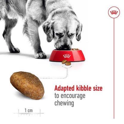 Royal Canin large breed formula