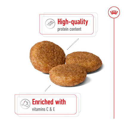 Balanced food for medium dogs