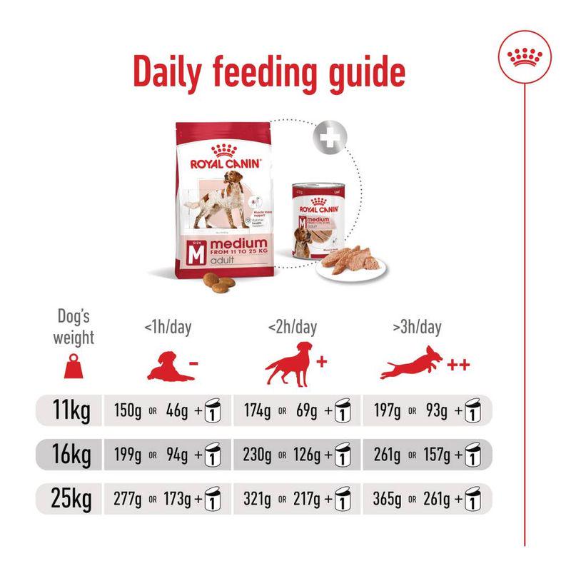 Healthy food for adult dogs