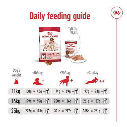 Healthy food for adult dogs