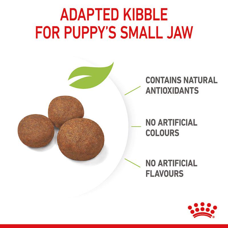 Dry food for growing pups