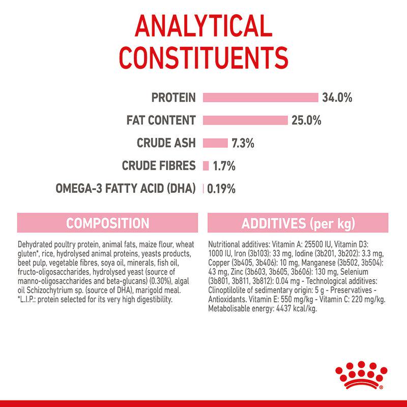 Gentle formula for kittens