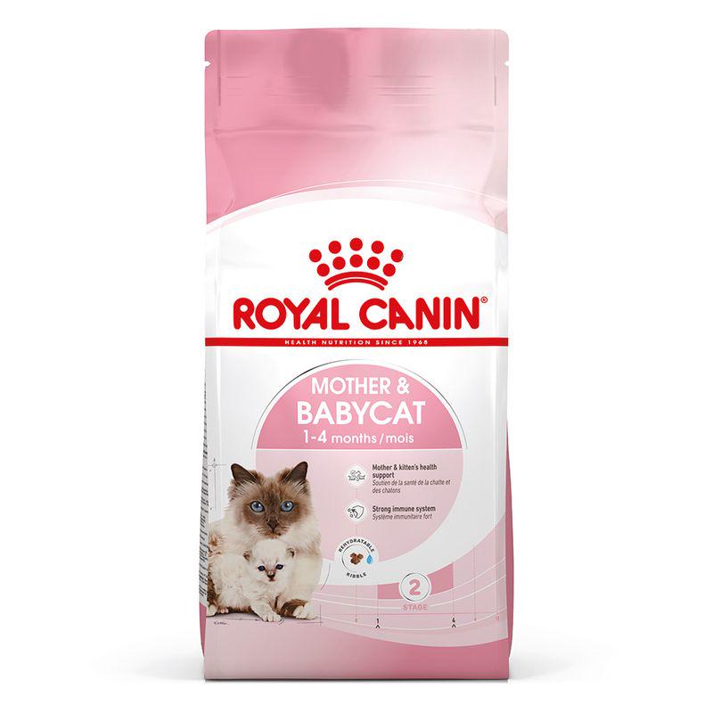 Royal Canin babycat food