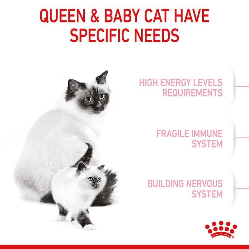 Royal Canin mother & kitten mix