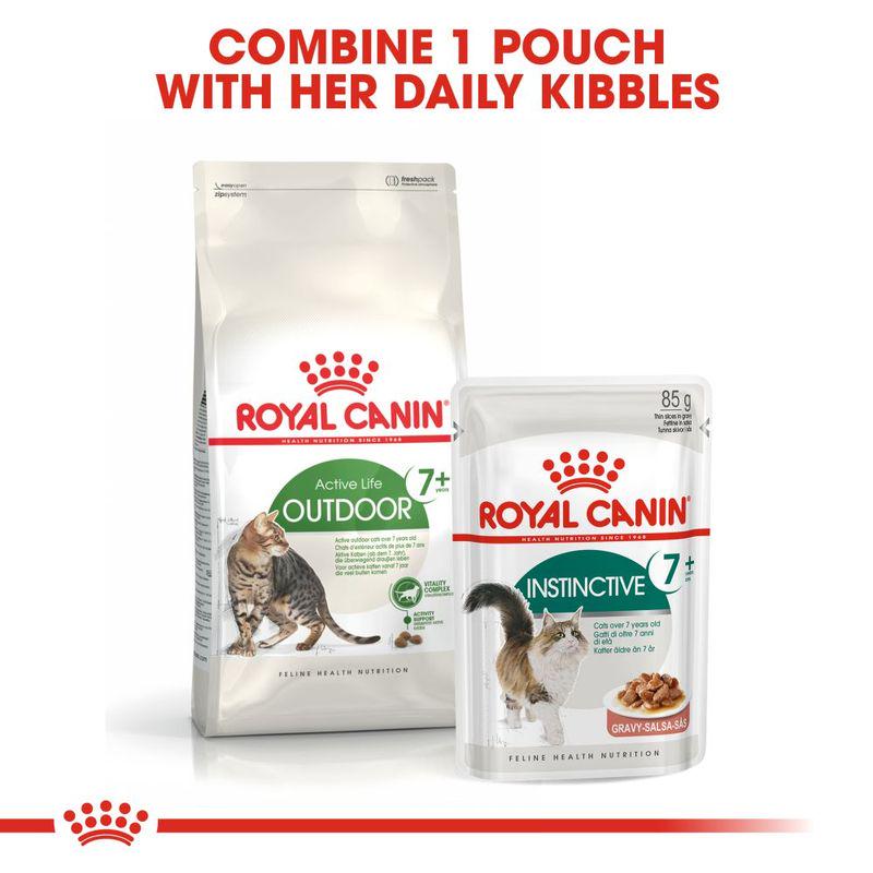 Royal Canin Outdoor 7+